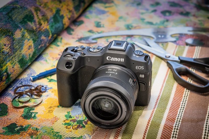 What are Canon APS-C Cameras?
